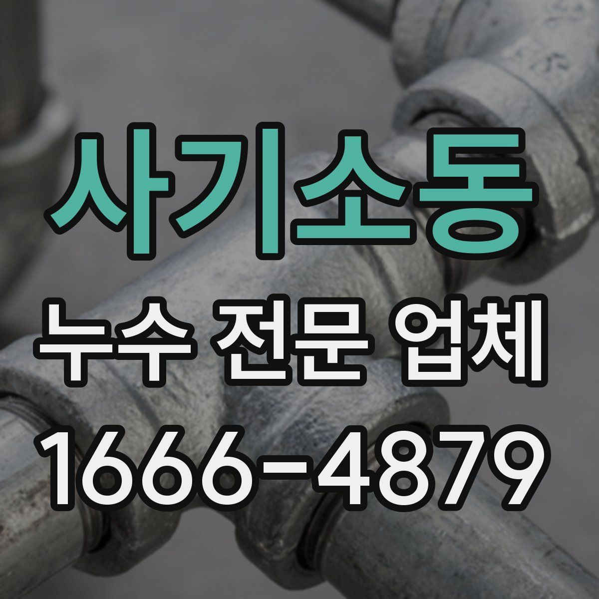 사기소동 누수 전문 업체