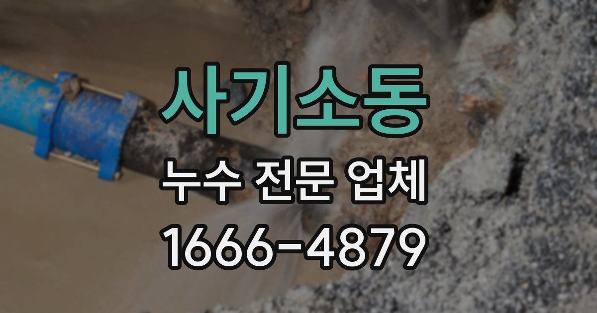 사기소동 누수 전문 업체