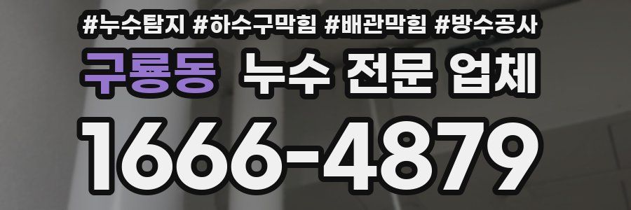 구룡동 누수 전문 업체