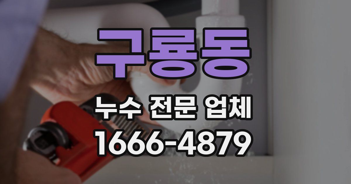 구룡동 누수 전문 업체