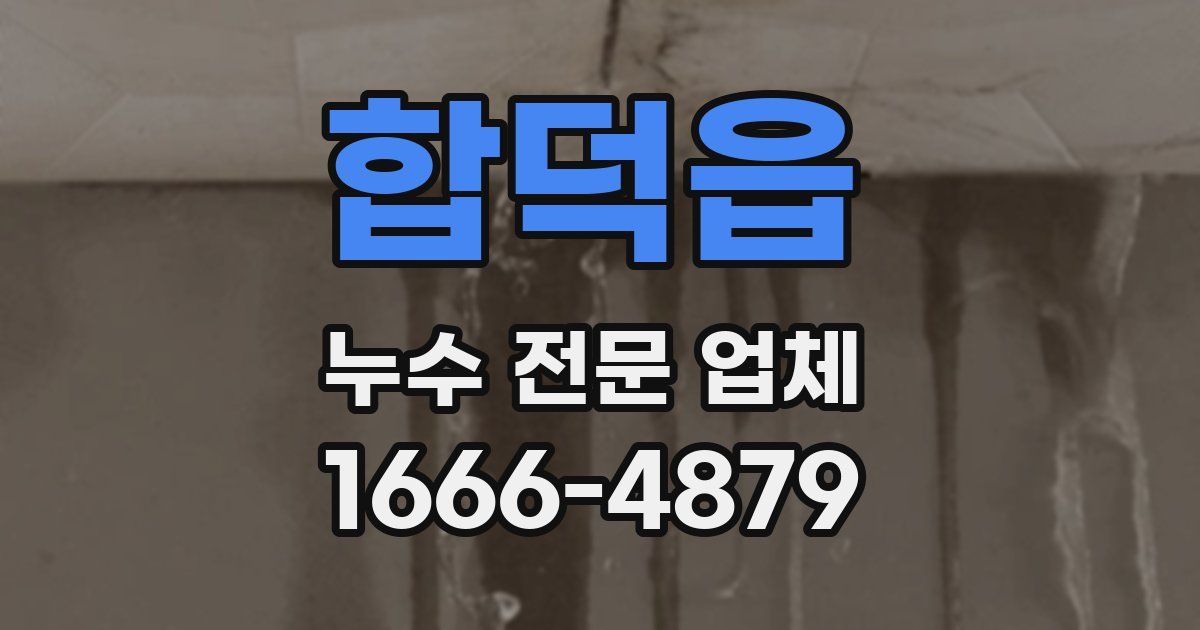 합덕읍 누수 전문 업체