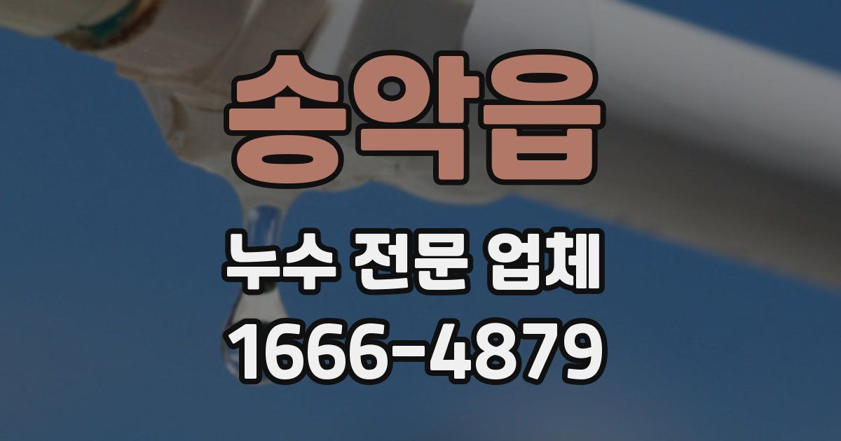 송악읍 누수 전문 업체