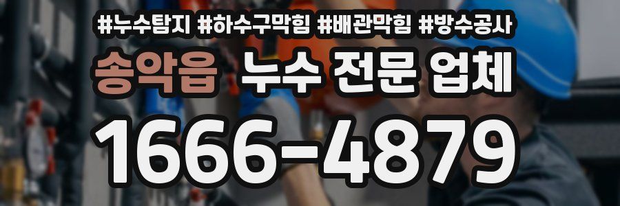 송악읍 누수 전문 업체