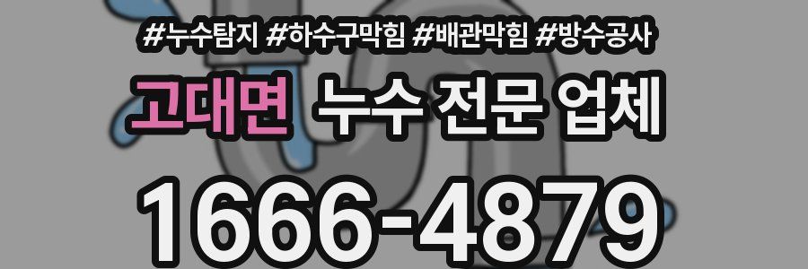 고대면 누수 전문 업체