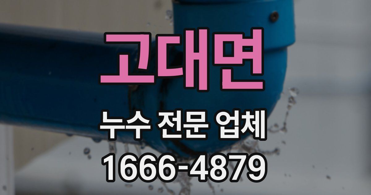 고대면 누수 전문 업체