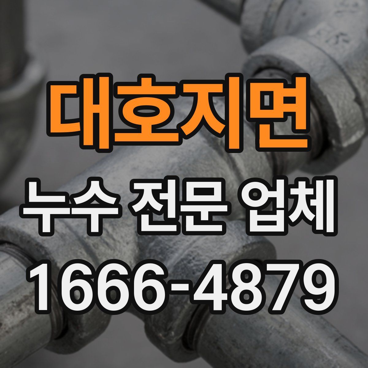 대호지면 누수 전문 업체