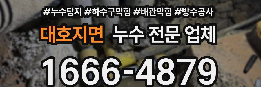 대호지면 누수 전문 업체
