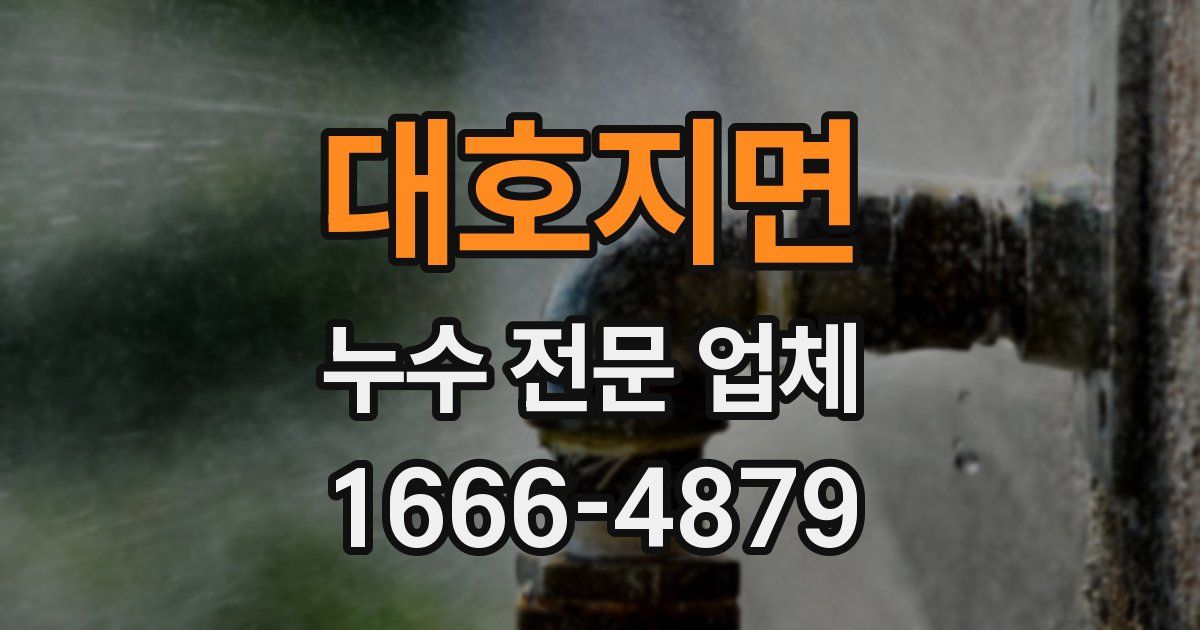 대호지면 누수 전문 업체