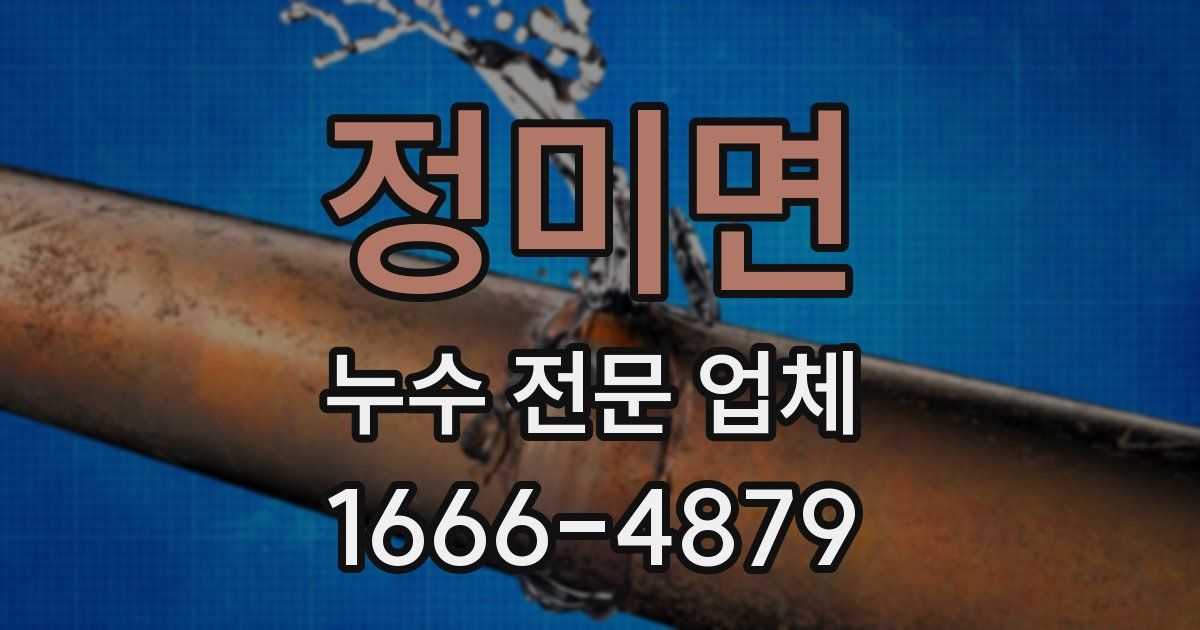 정미면 누수 전문 업체
