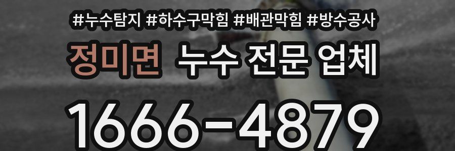 정미면 누수 전문 업체