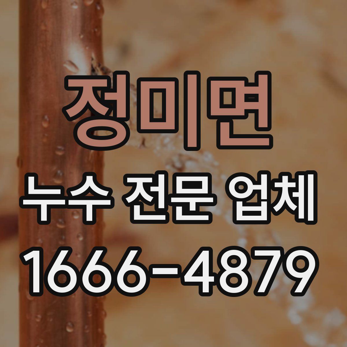 정미면 누수 전문 업체