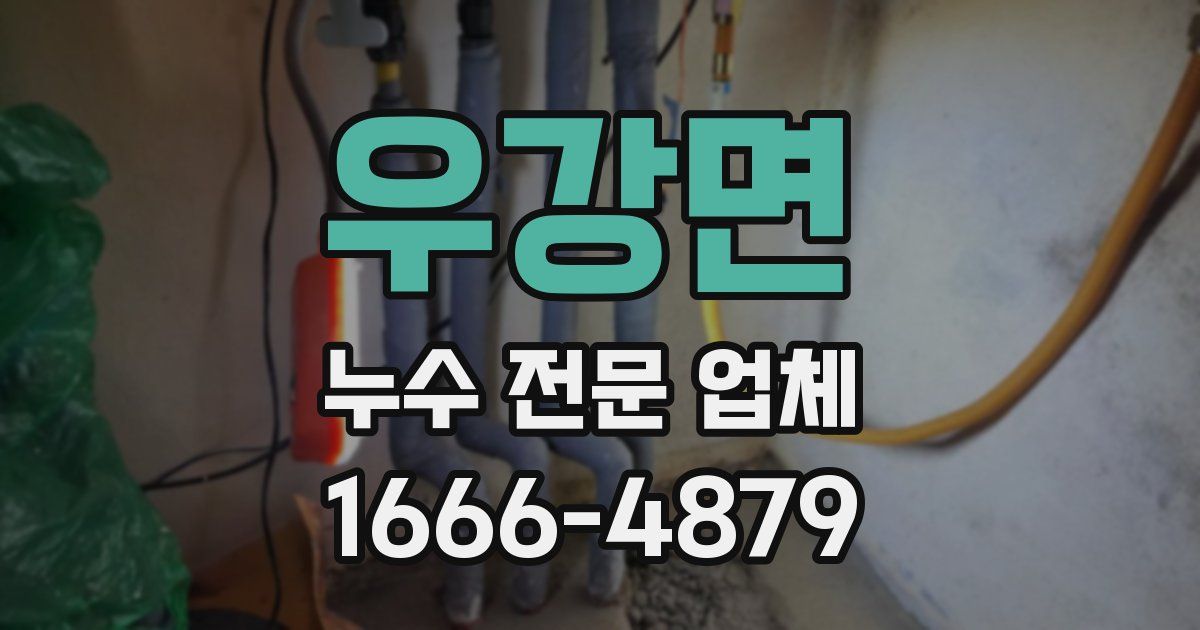 우강면 누수 전문 업체