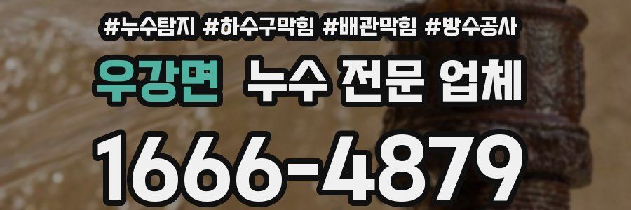 우강면 누수 전문 업체