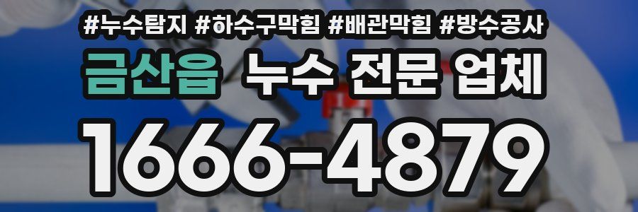 금산읍 누수 전문 업체