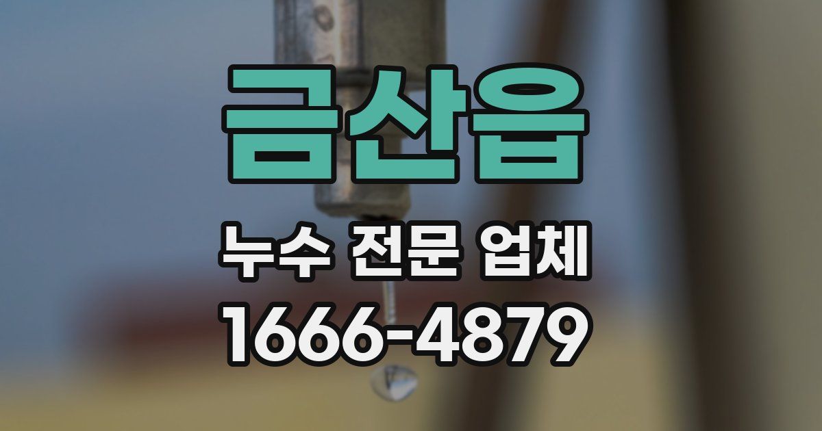 금산읍 누수 전문 업체