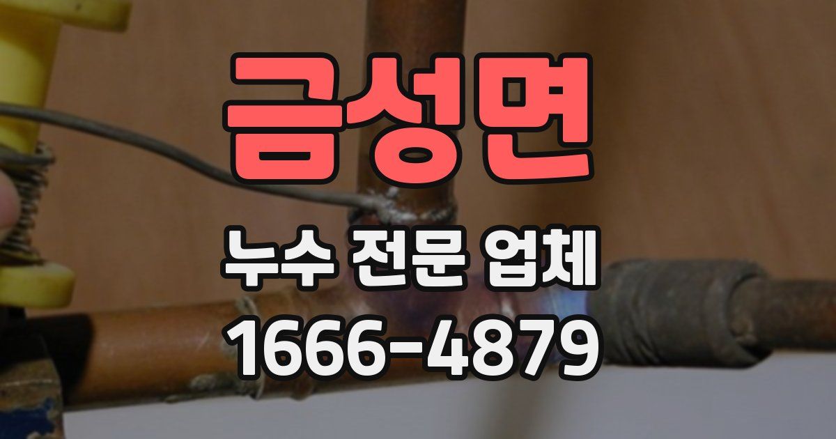 금성면 누수 전문 업체