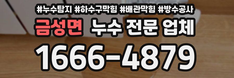 금성면 누수 전문 업체