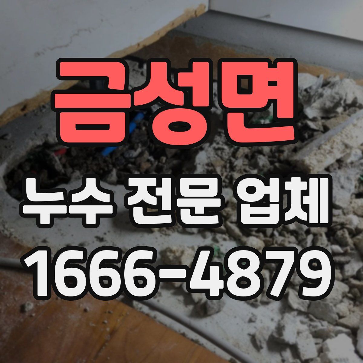 금성면 누수 전문 업체