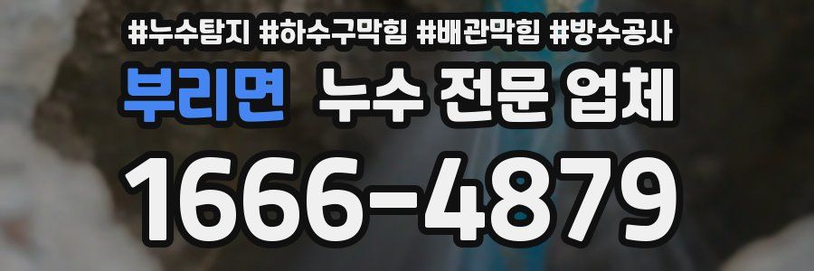 부리면 누수 전문 업체