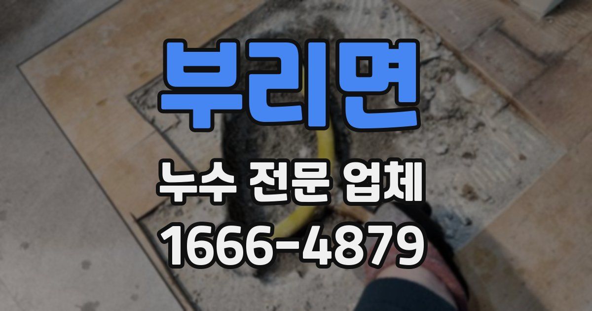 부리면 누수 전문 업체