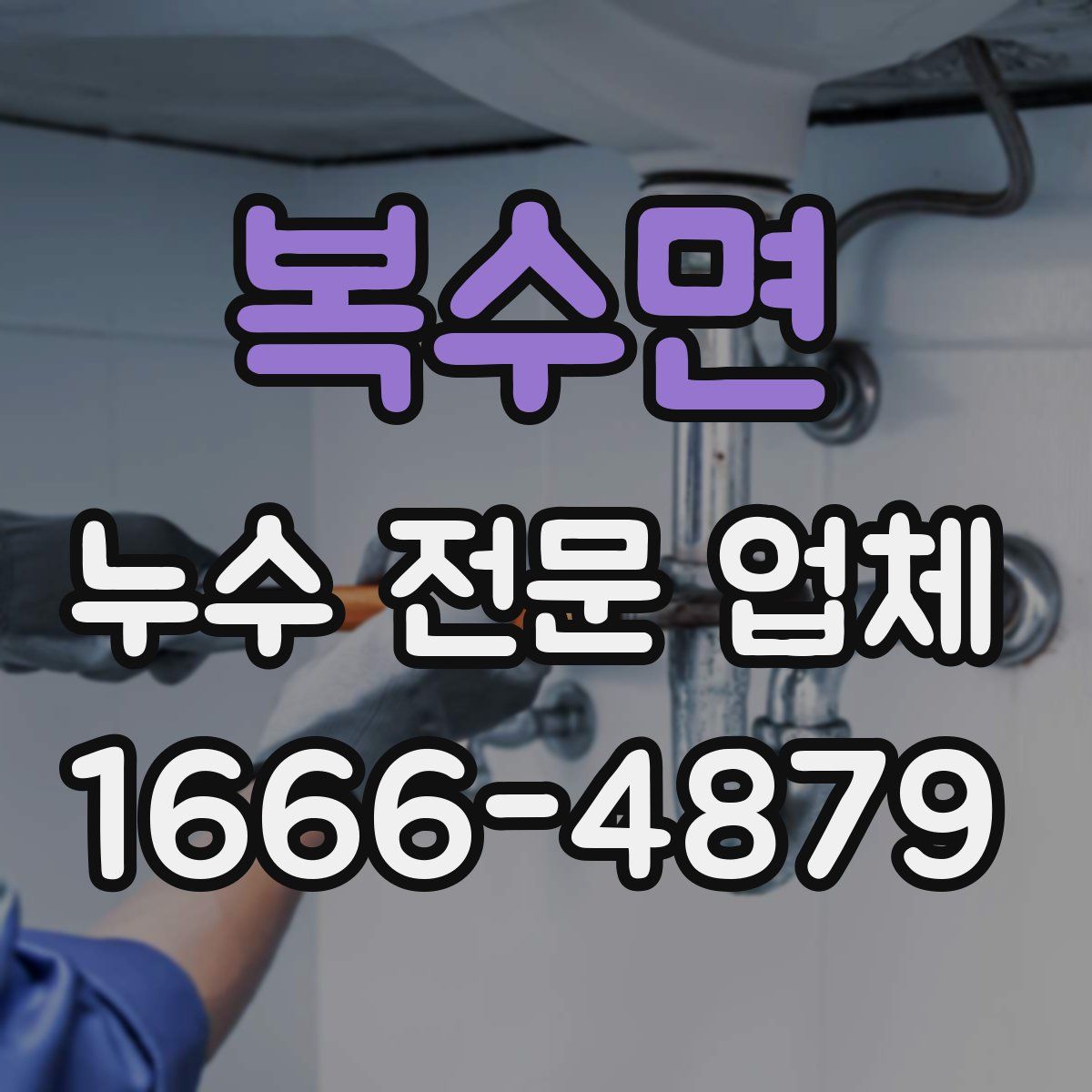 복수면 누수 전문 업체