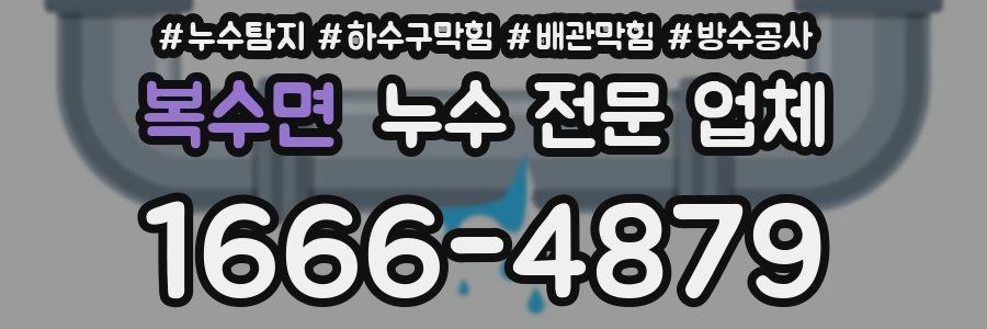 복수면 누수 전문 업체