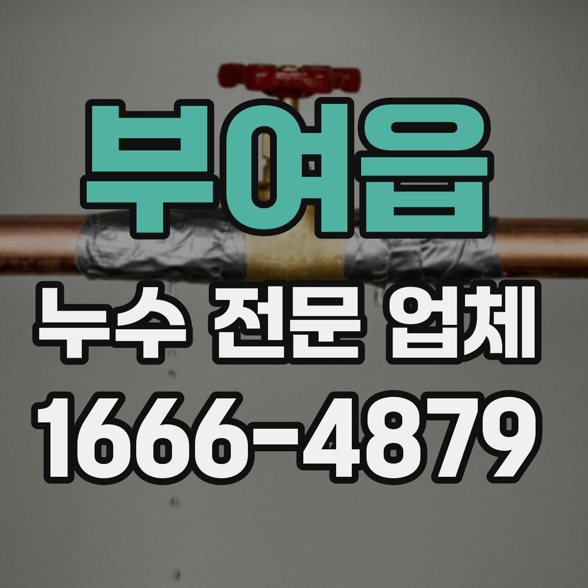 부여읍 누수 전문 업체