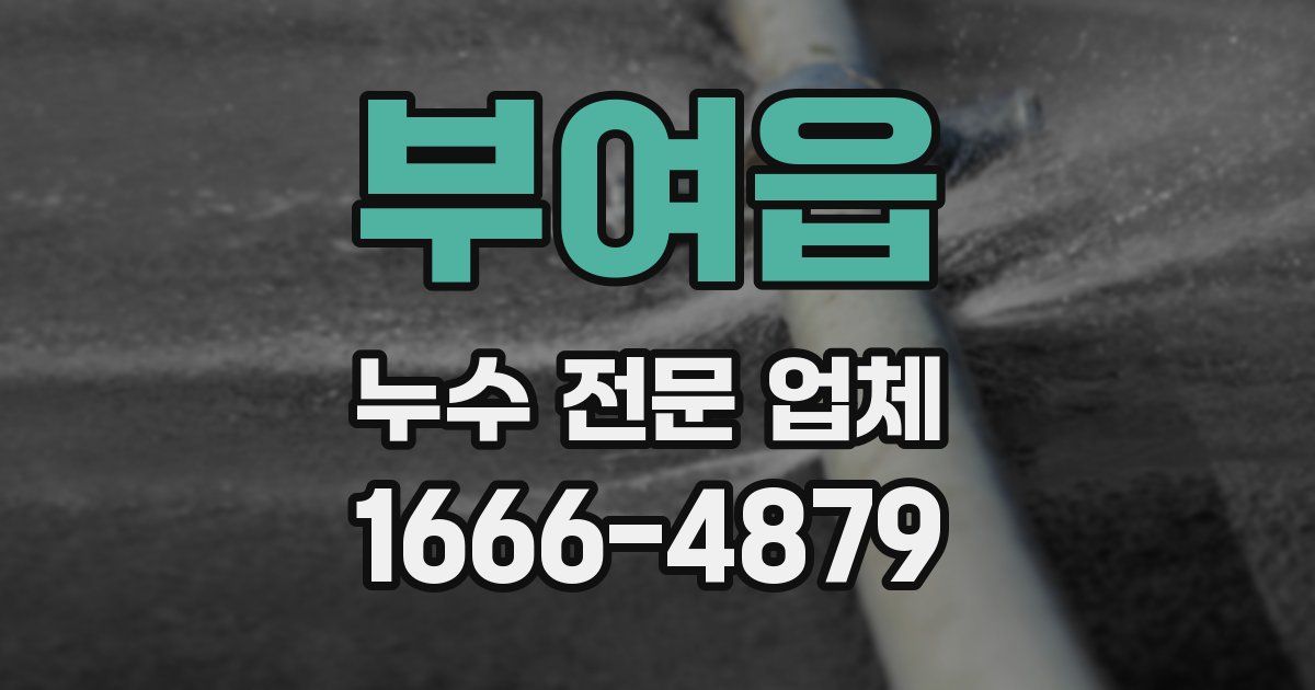 부여읍 누수 전문 업체