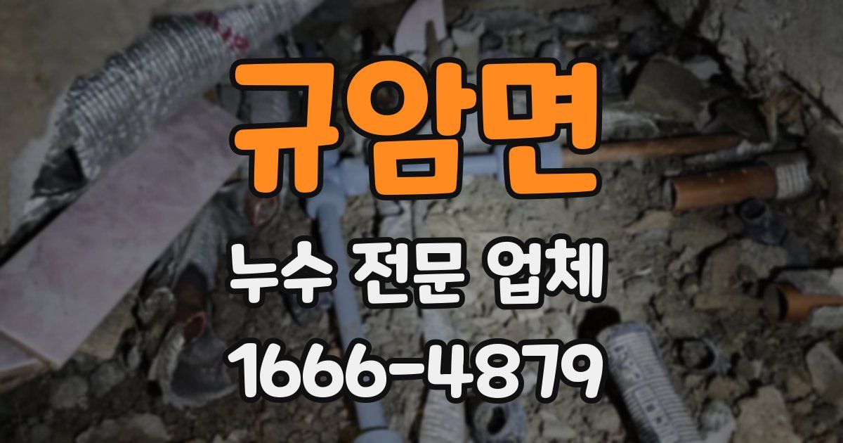 규암면 누수 전문 업체