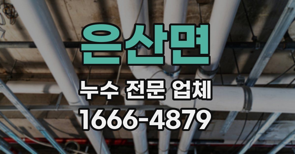은산면 누수 전문 업체