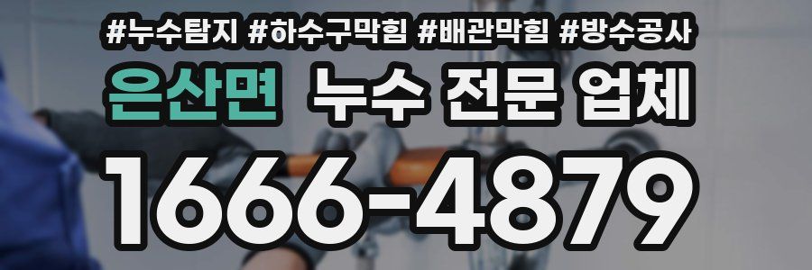 은산면 누수 전문 업체