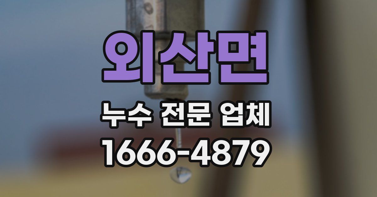 외산면 누수 전문 업체
