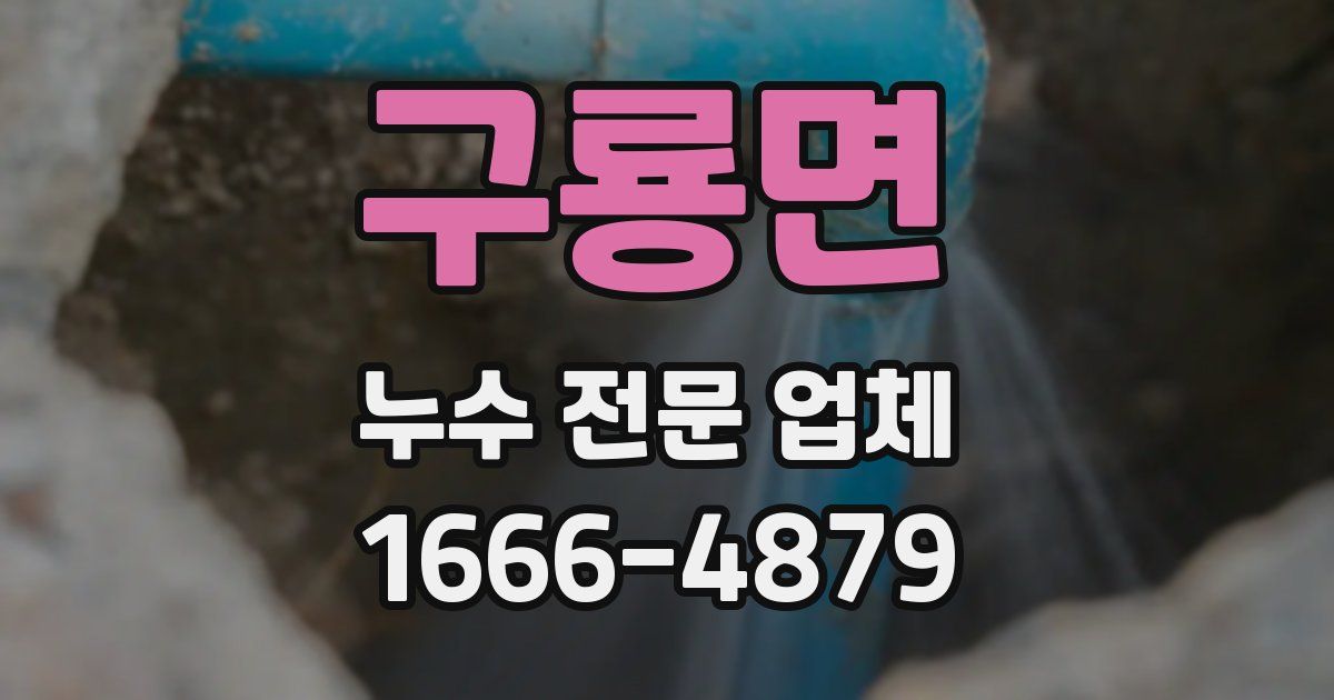 구룡면 누수 전문 업체