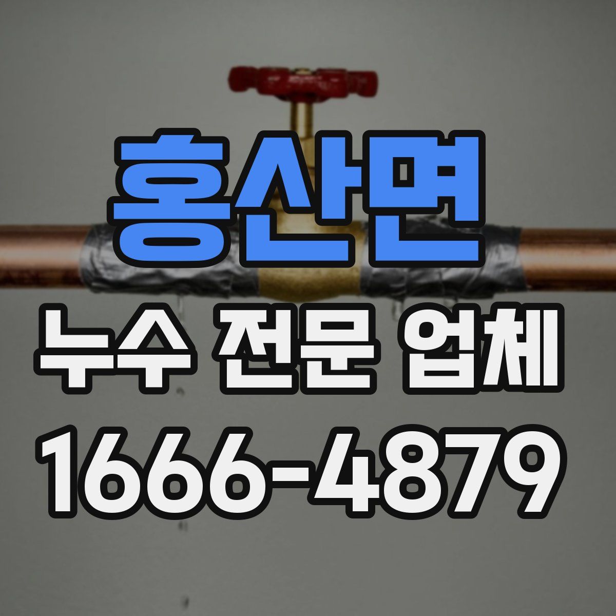 홍산면 누수 전문 업체