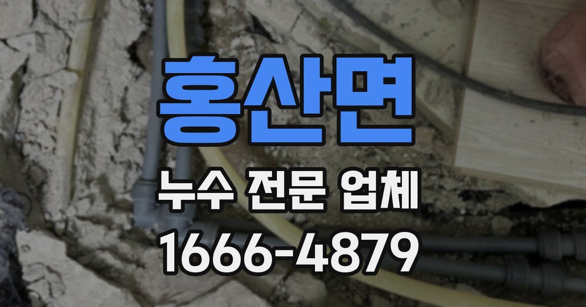 홍산면 누수 전문 업체