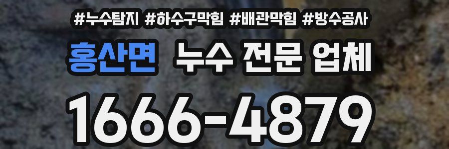 홍산면 누수 전문 업체