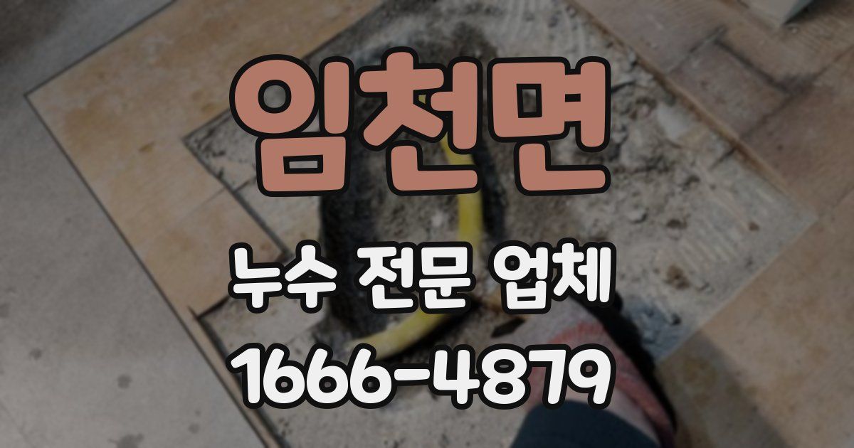 임천면 누수 전문 업체