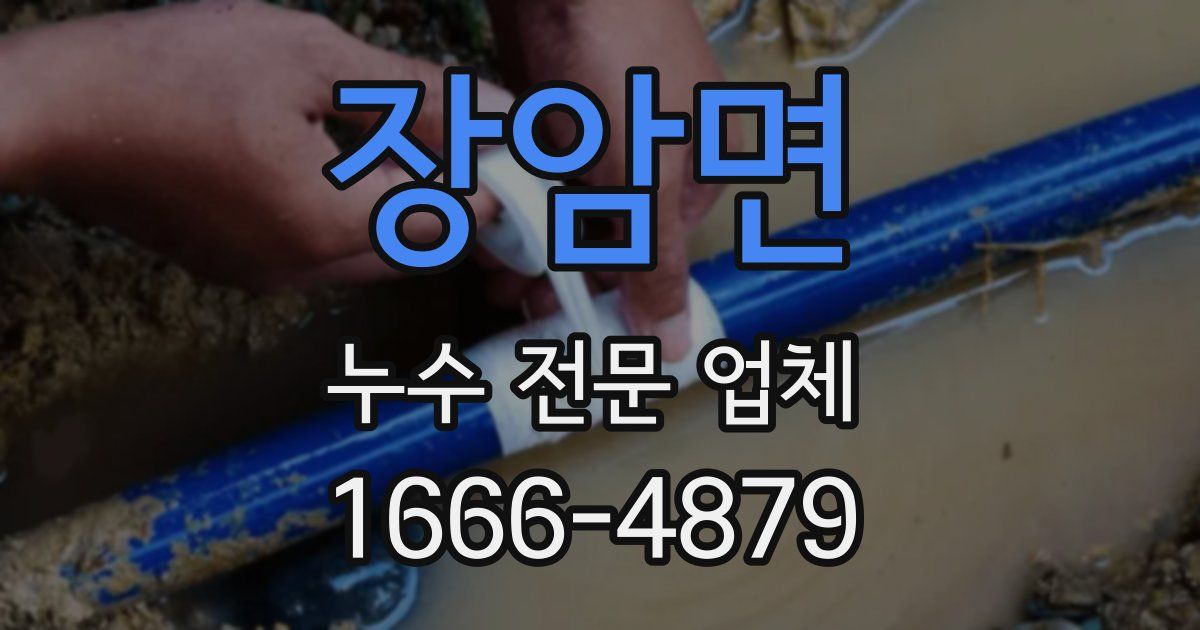 장암면 누수 전문 업체