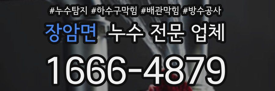 장암면 누수 전문 업체