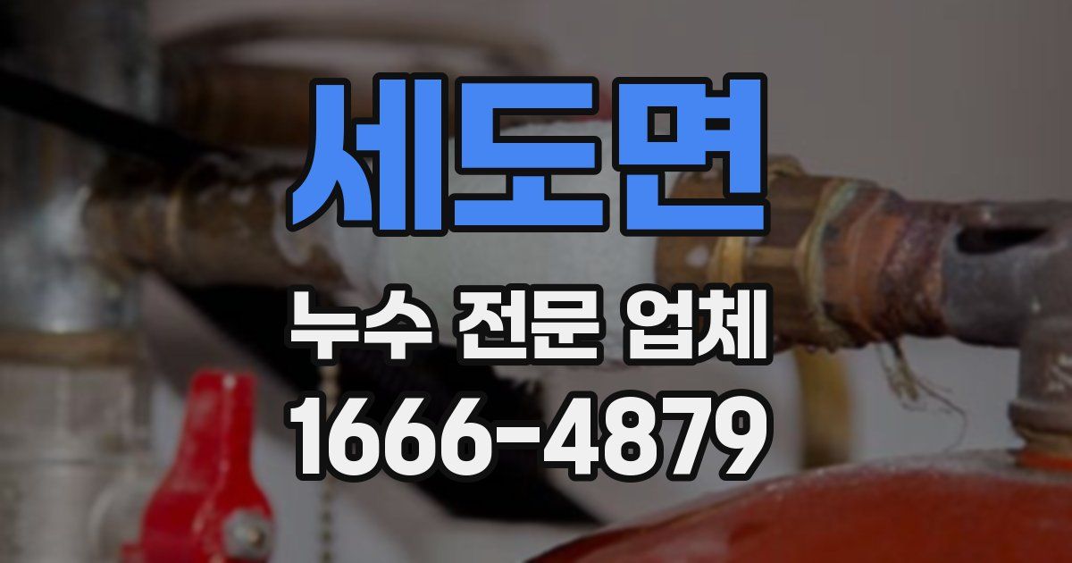 세도면 누수 전문 업체