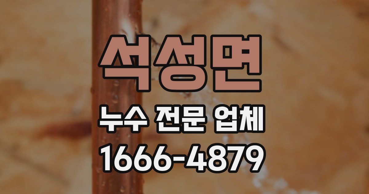 석성면 누수 전문 업체