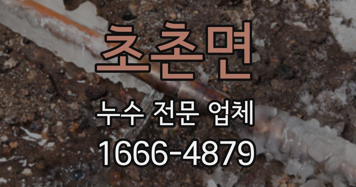 초촌면 누수 전문 업체