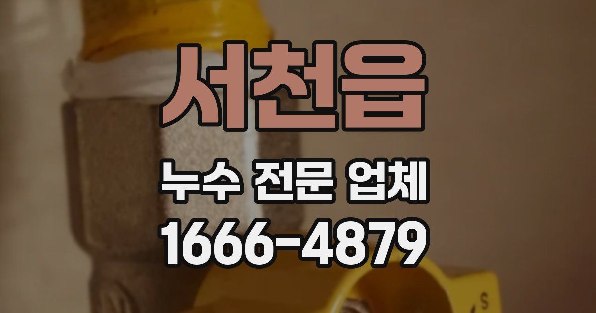 서천읍 누수 전문 업체