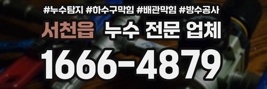 서천읍 누수 전문 업체
