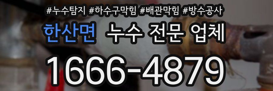 한산면 누수 전문 업체