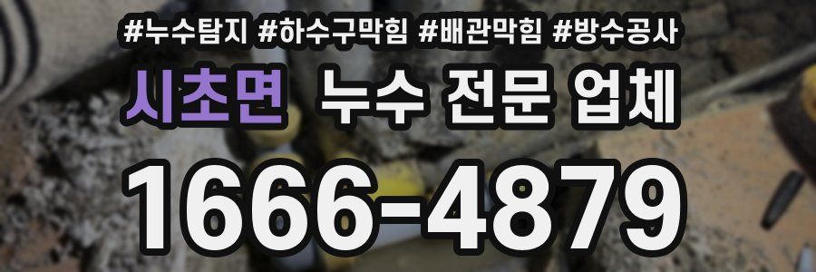 시초면 누수 전문 업체
