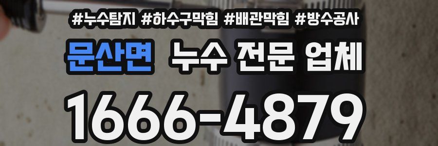 문산면 누수 전문 업체