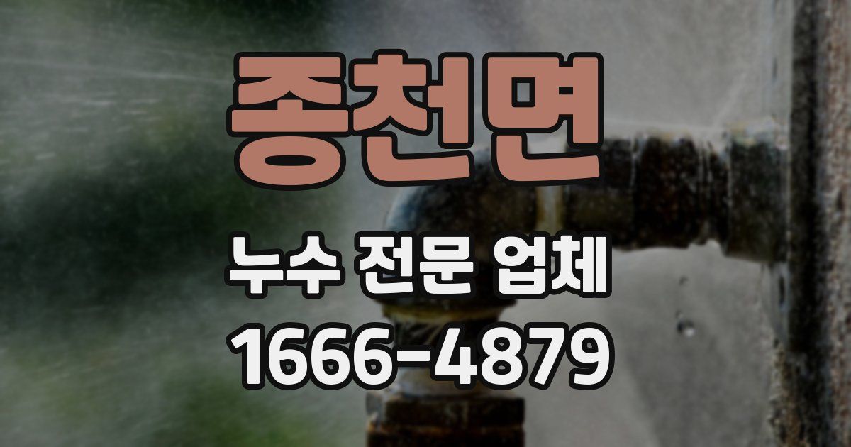종천면 누수 전문 업체