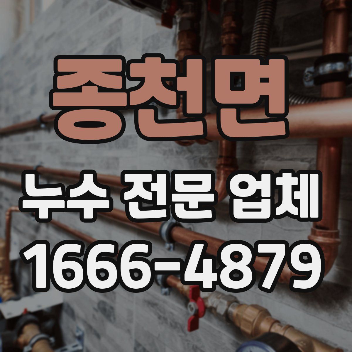 종천면 누수 전문 업체