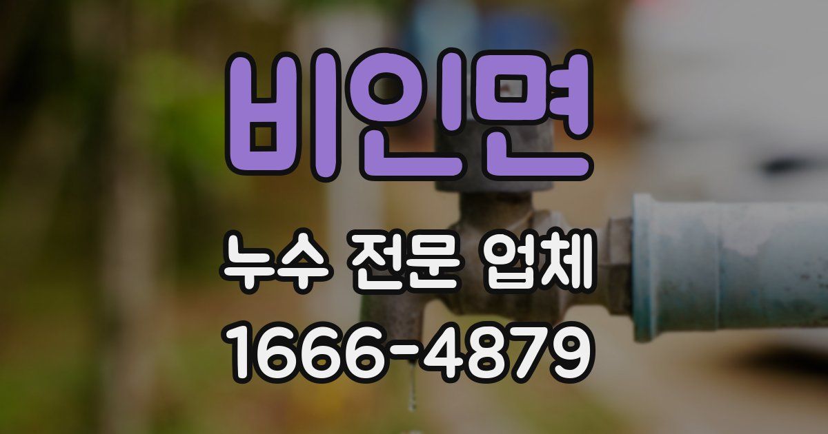 비인면 누수 전문 업체
